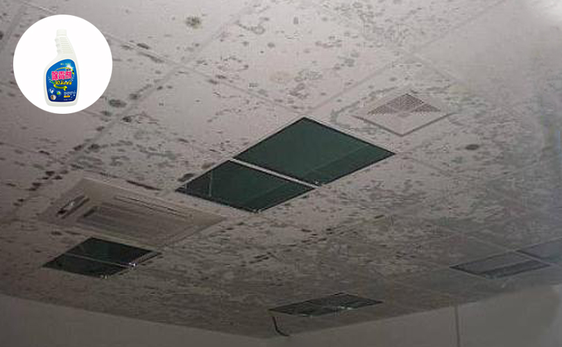 石膏板發(fā)霉解決方案