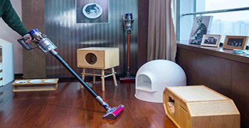 七月怎樣擺脫“霉運”？先從重視家居環(huán)境開始！