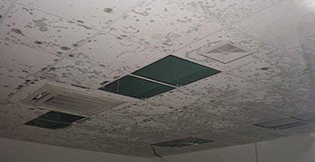 地下室石膏板吊頂泛黃發(fā)霉怎么辦?