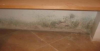 開(kāi)學(xué)季，對(duì)發(fā)霉的墻壁說(shuō)拜拜