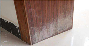 木門(mén)發(fā)霉了該怎么處理？