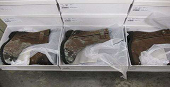 倉(cāng)庫(kù)鞋子防霉方案