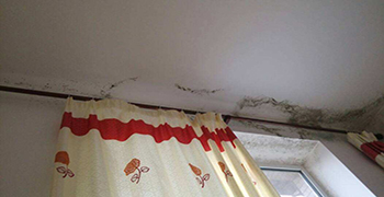 二手房如何解決發(fā)霉難題，事實(shí)證明用它就夠了