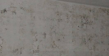 寫字樓墻壁發(fā)霉怎么處理？