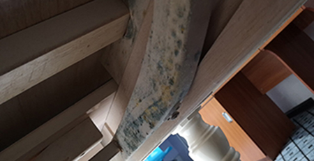 實木家具防霉五大技巧，別說我沒教你。