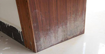 門套發(fā)霉怎么處理？家政公司都可以看的門套除霉方案