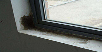 窗戶周邊滲水發(fā)霉怎么辦？霉博士有妙招