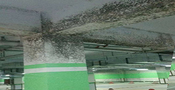 地下停車場發(fā)霉怎么處理？