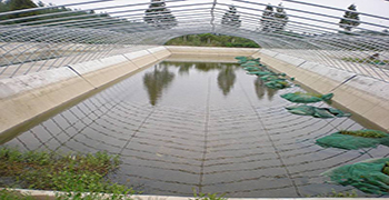 水產(chǎn)養(yǎng)殖必備抗菌劑！