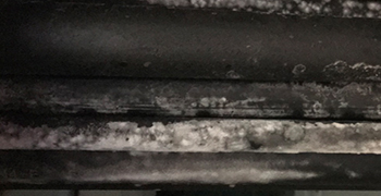 電纜發(fā)霉的原因及防霉措施