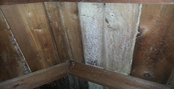 發(fā)霉的閣樓怎么處理方法！