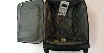 拉桿箱發(fā)霉怎么辦？這個(gè)方法你還不知道嗎？