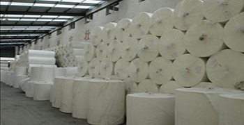 聽(tīng)說(shuō)紙巾也會(huì)發(fā)霉，霉博士來(lái)支招了！