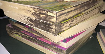 書本如何做好防霉措施？防霉劑廠家教你這樣做！