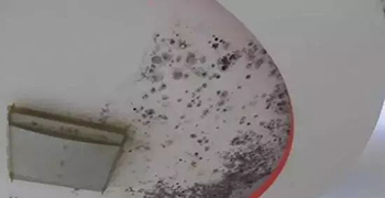 墻體常見問題的解決方案-廣東贊譽防霉科技