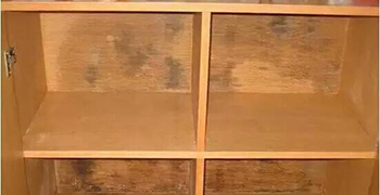 木柜子發(fā)霉處理方法合集！