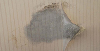 墻紙要做防霉的話，這個一定要知道！