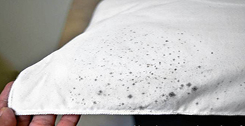 導(dǎo)致紡織物品霉變的因素有哪些？