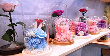 如何做到讓永生花不發(fā)霉？