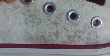 帆布鞋發(fā)霉的處理方法！