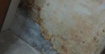 霉博士告訴你廁所墻壁發(fā)霉的處理方法！