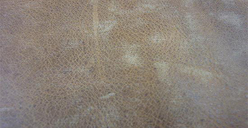 瘋馬油皮為什么會發(fā)霉？及其除霉防霉措施