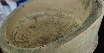 竹筒長霉怎么辦？應對措施趕緊收集起來！