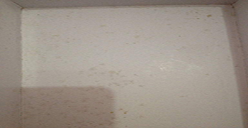 要想鞋盒不發(fā)霉，這個方法工廠一定知道！