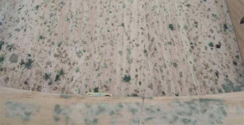 中纖板為什么會發(fā)霉？中纖板的防霉措施！