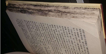 收藏的圖書為什么會發(fā)霉？圖書的防霉措施！
