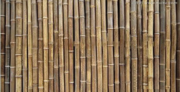 竹子如何做防霉？竹子的防霉措施！