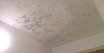 天花板易發(fā)霉？天花板的防霉措施！