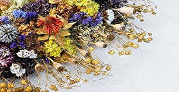 干花發(fā)霉怎么辦？霉博士教你干花防霉措施！