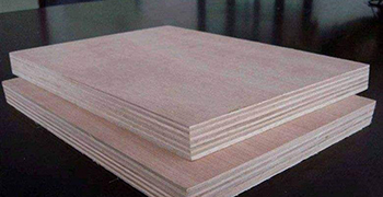 工程板材易發(fā)霉嗎？霉博士來幫你