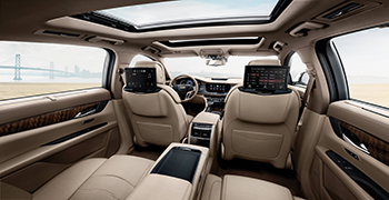 防霉劑廠家教你如何給汽車防霉防潮！