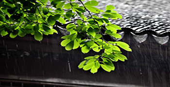 防霉劑廠家告訴你多雨季節(jié)如何防霉防潮！