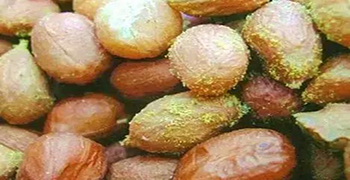 發(fā)霉的東西都有黃曲霉素嗎？-防霉劑廠家為你解疑