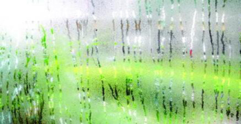 日常生活中你最怕什么物品發(fā)霉？