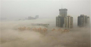 認(rèn)識一下微生物造成的災(zāi)害