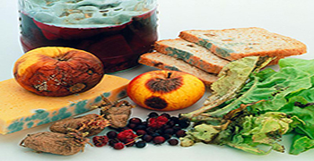 微生物災(zāi)害所涉及的領(lǐng)域有多少（一）？