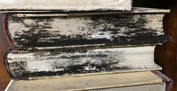 微生物災(zāi)害所涉及的領(lǐng)域有多少（四）？