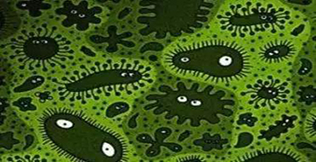 電磁波滅菌除菌！