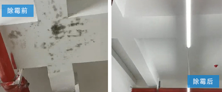 墻體發(fā)霉給人帶來的危害