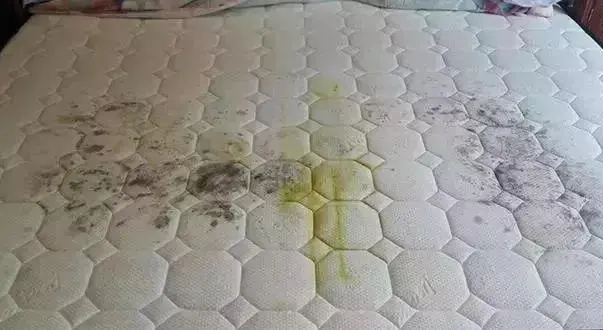 床墊發(fā)霉了怎么辦？內行人是這么做的