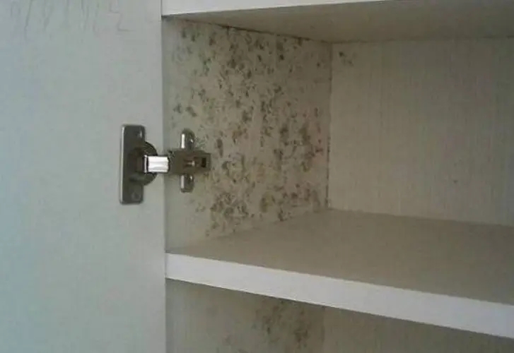衣柜發(fā)霉了怎么辦？