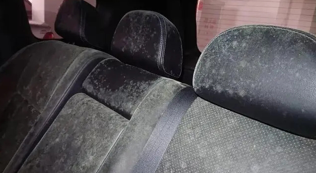 汽車內(nèi)飾發(fā)霉是什么原因？該怎么辦?