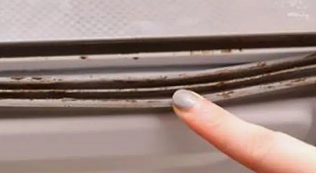 冰箱密封條發(fā)霉不知道該如何處理？來(lái)聽(tīng)聽(tīng)除霉劑廠家怎么說(shuō)