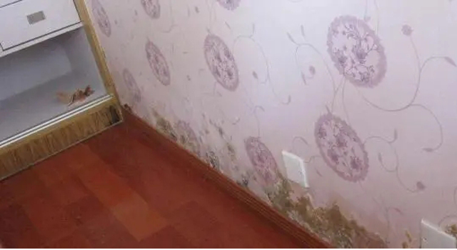 墻布發(fā)霉了怎么辦？