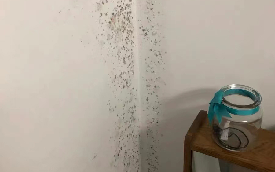 墻面發(fā)霉怎么處理？教你一招自己在家就能解決