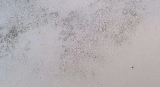 墻壁頻頻發(fā)霉？那是因?yàn)槟氵€沒(méi)有用過(guò)防霉涂料